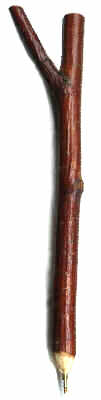 Works of Nature- Ice Storm Twig Pen